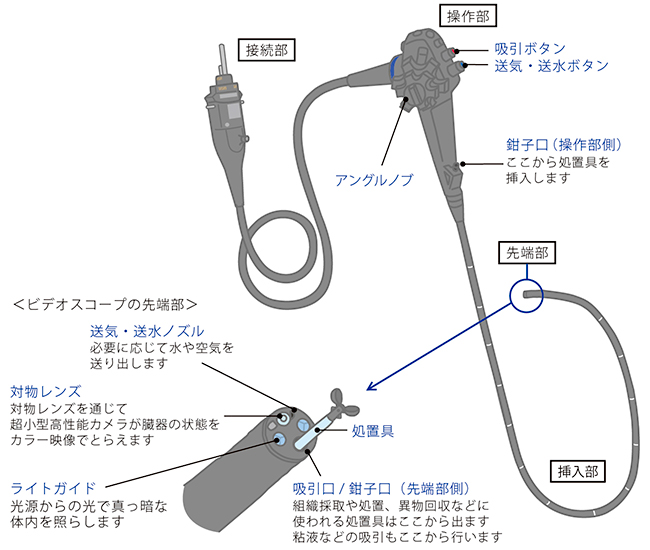 ドンキーコング ユニバ 3月