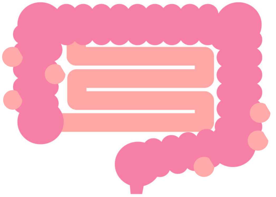 憩室(けいしつ)ってご存じですか？