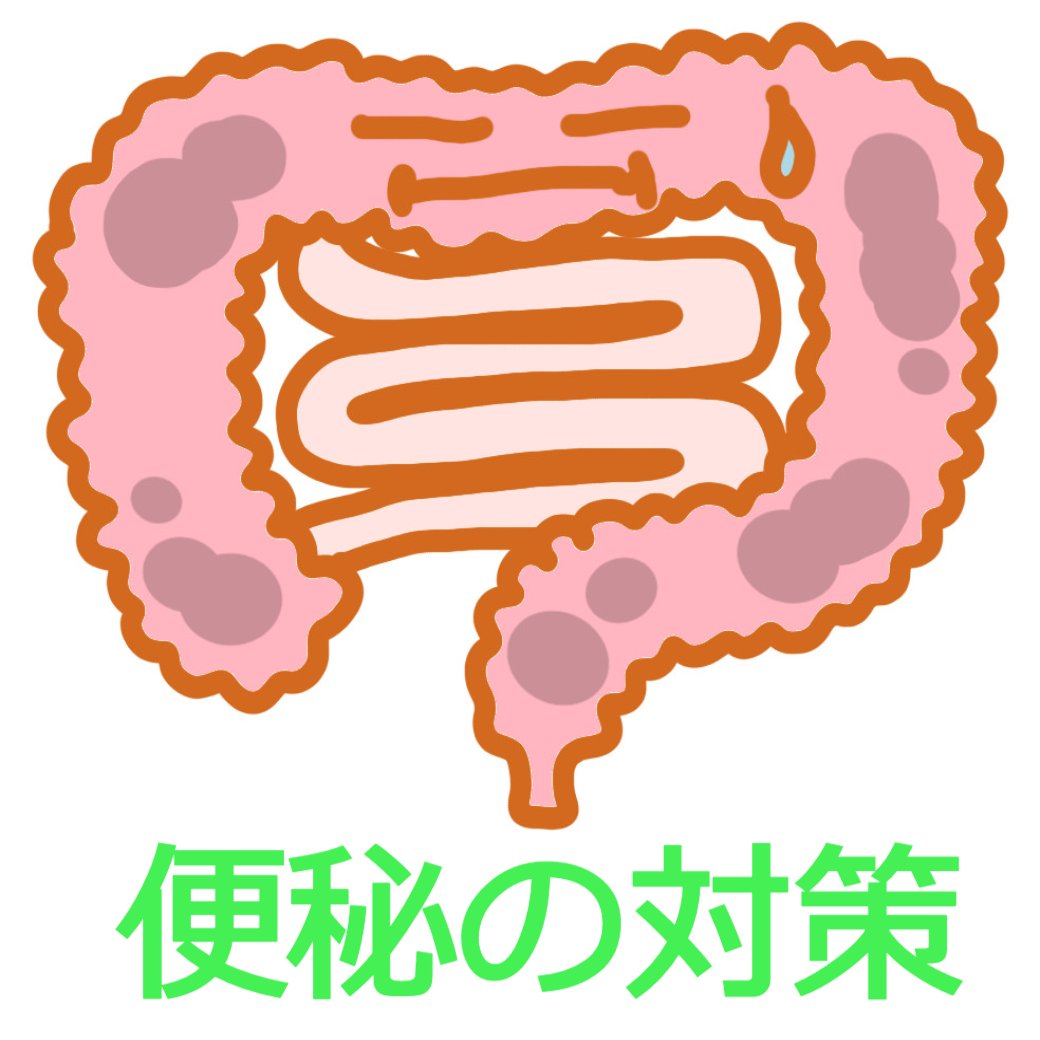 便秘の対策！