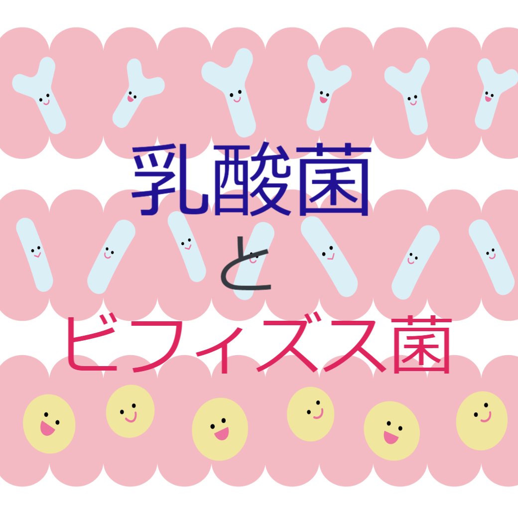 乳酸菌とビフィズス菌の違いって？