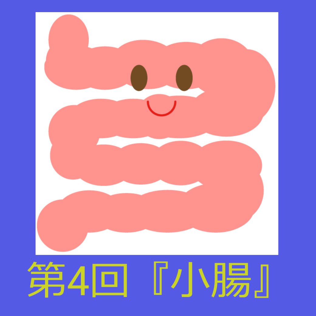 消化管の働き 第４回『小腸』