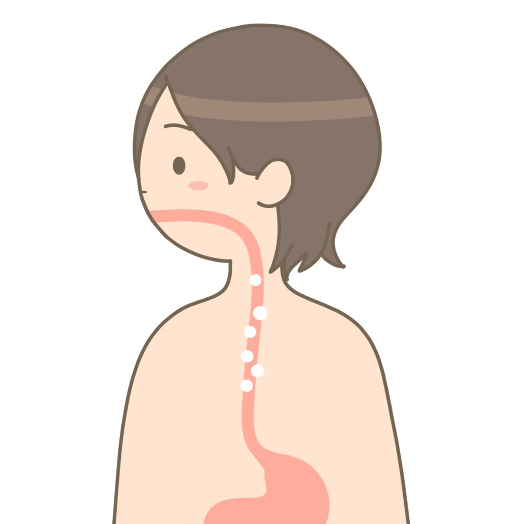 食道カンジダ症とは