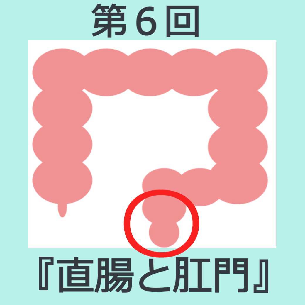 消化器官の働き 第6回 『直腸と肛門』