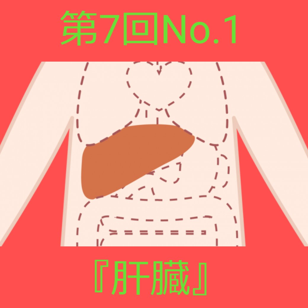 消化器官の働き 第7回No.1『肝臓』