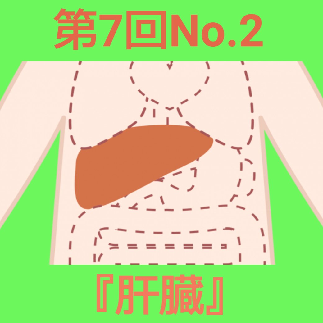 消化器官の働き 第7回No.2『肝臓』