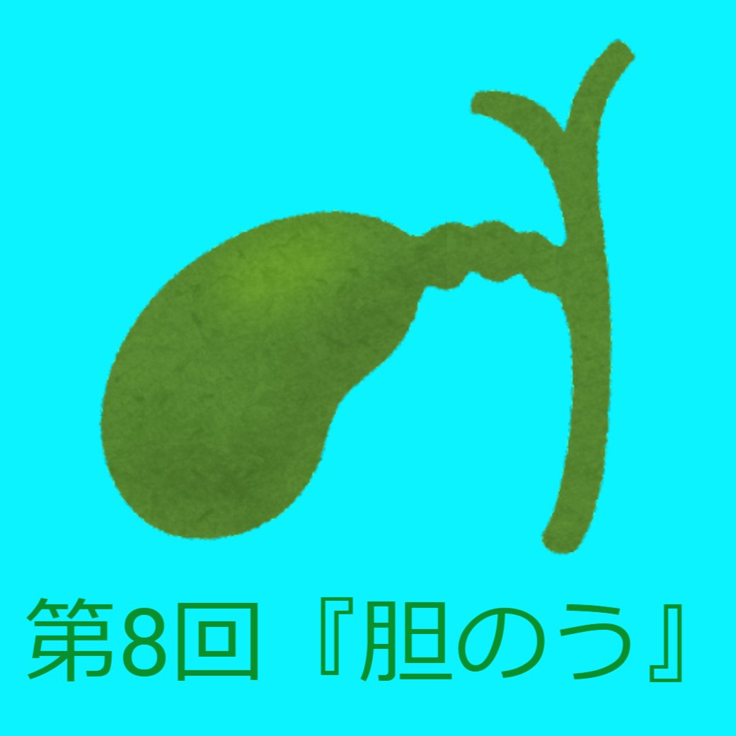 消化器官の働き 第8回『胆のう』