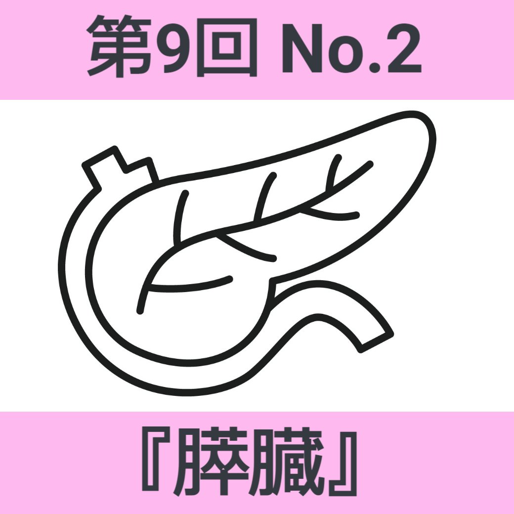 消化器官の働き 第9回 No.2『膵臓』