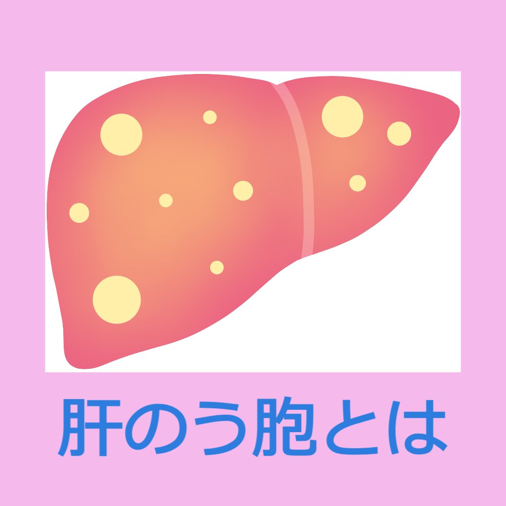 肝のう胞とは