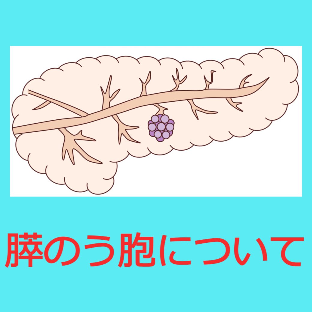 膵のう胞について