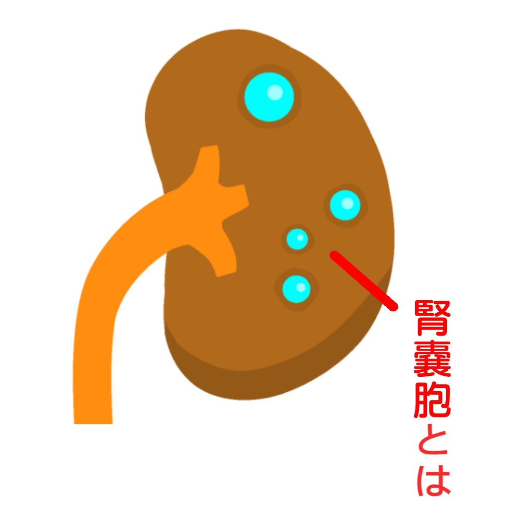 お盆休みのご案内(2024年)
