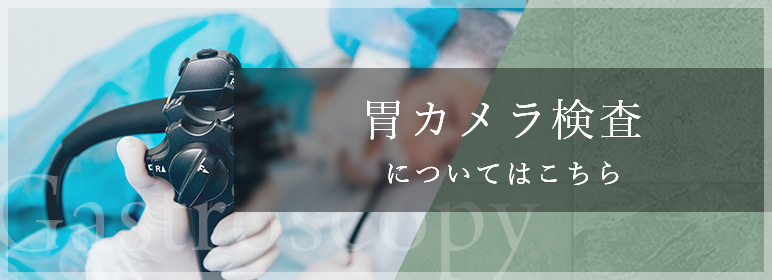 胃カメラ検査についてはこちら