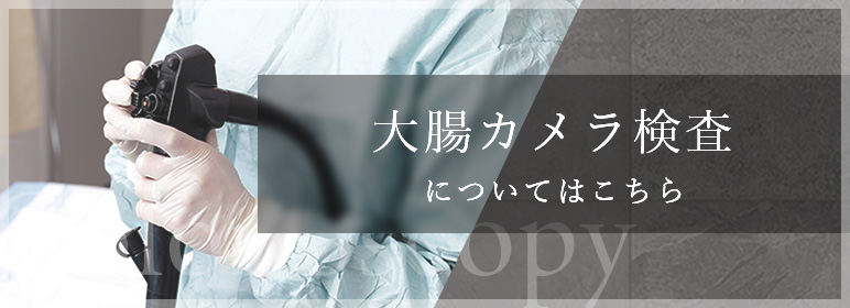 大腸カメラ検査についてはこちら