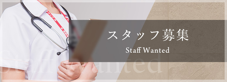 スタッフ募集