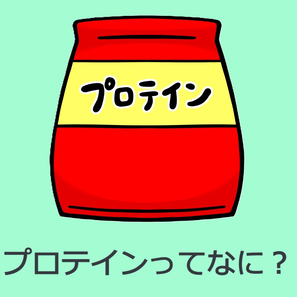 プロテインってなに？