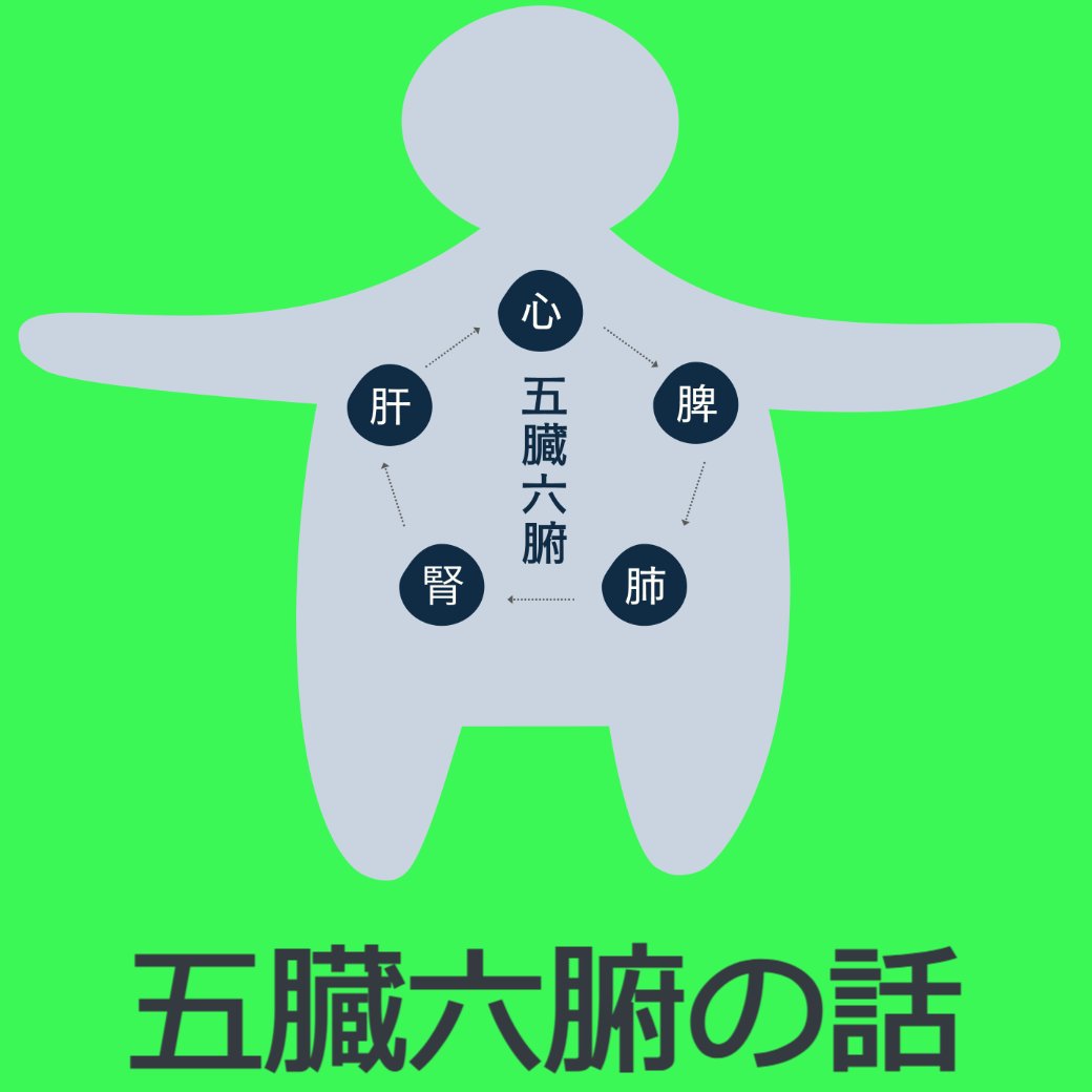五臓六腑の話